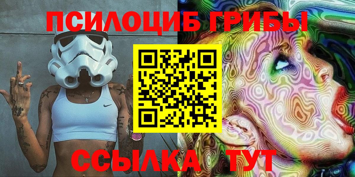 Псилоцибиновые грибы Psilocybe  Вход с VPN  Назрань 
